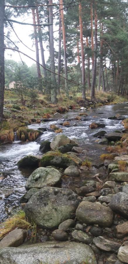 נאבארדונדה דה גרדוס Casa Rural Los 7 Pinos De Gredos מראה חיצוני תמונה